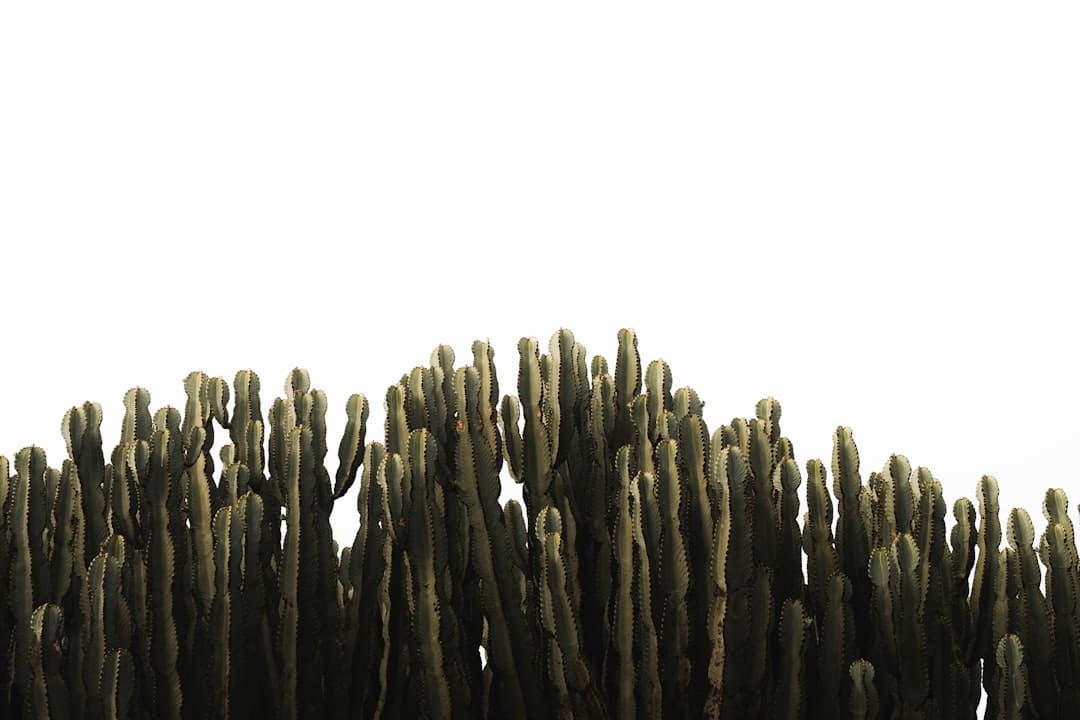 更多医疗机构将完善无障碍环境建设